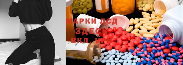 бошки Богданович