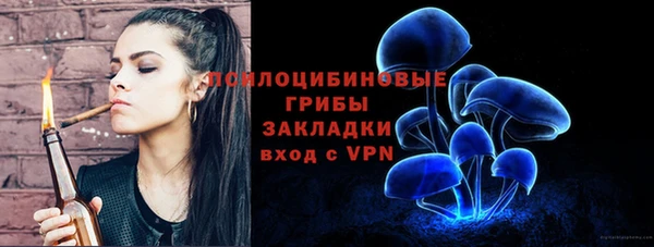 бошки Богданович