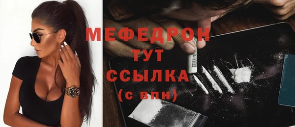 индика Бронницы