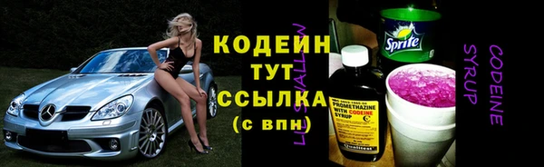 a pvp Бородино