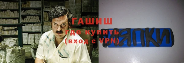 индика Бронницы