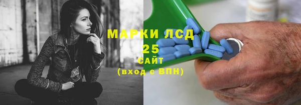 a pvp Бородино