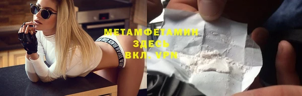 индика Бронницы