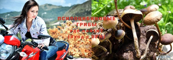 индика Бронницы