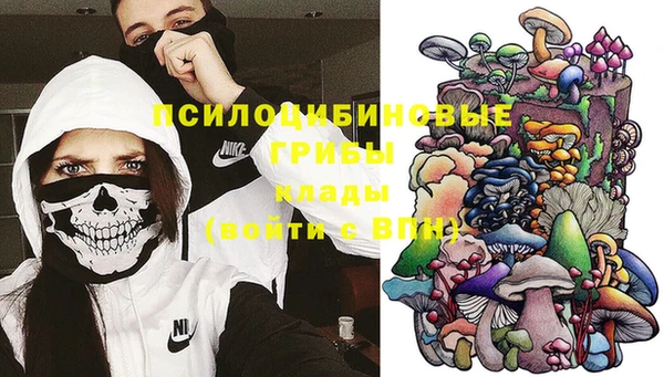 мдпв Беломорск