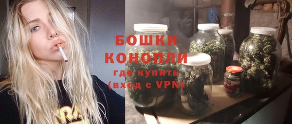 индика Бронницы