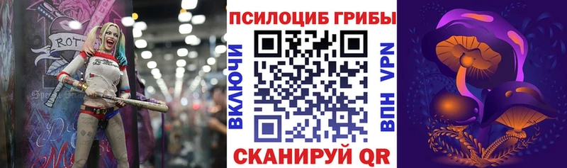 купить наркотики цена  Валуйки  Псилоцибиновые грибы GOLDEN TEACHER 